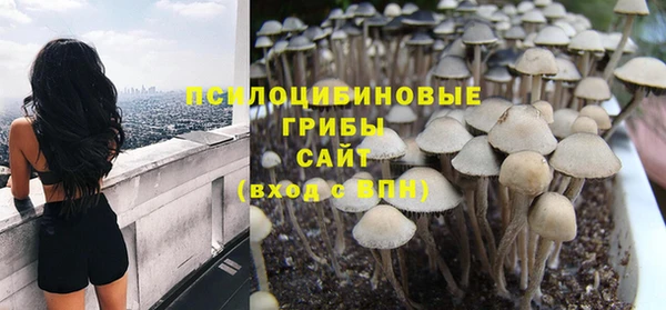 прущий лед Белокуриха
